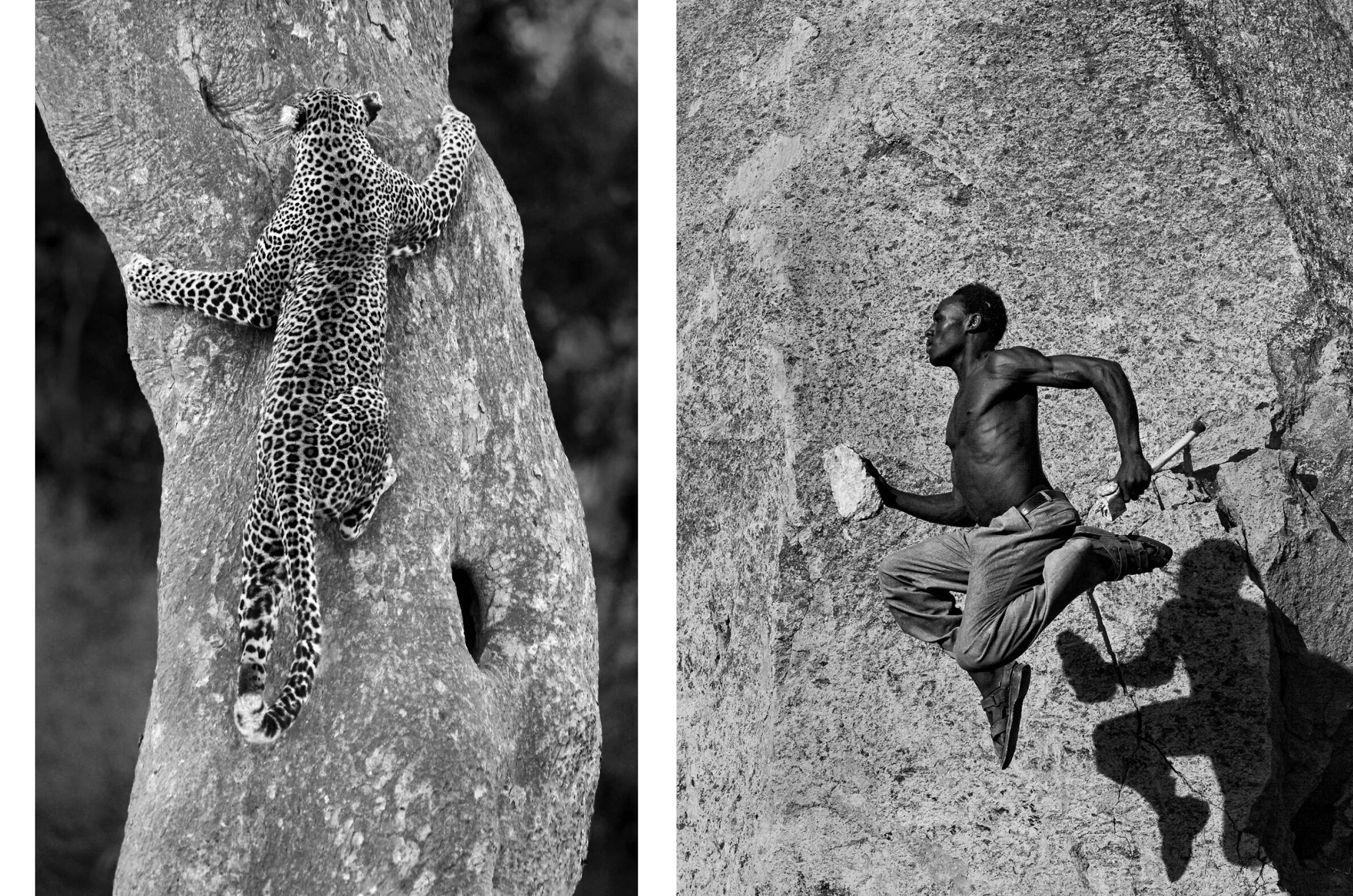 David Gulden -The Centre Cannot Hold - The Eye of Photography Magazine